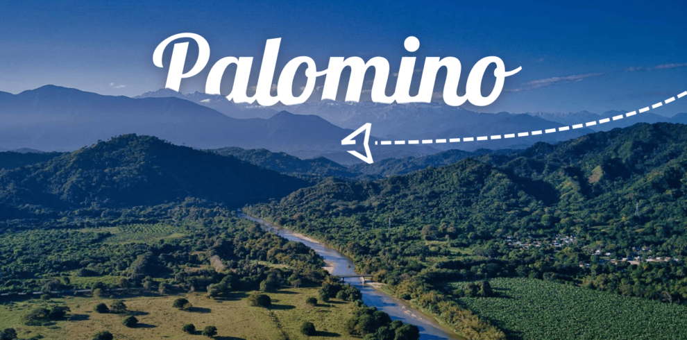 Actiiva horizontal (23) (1)