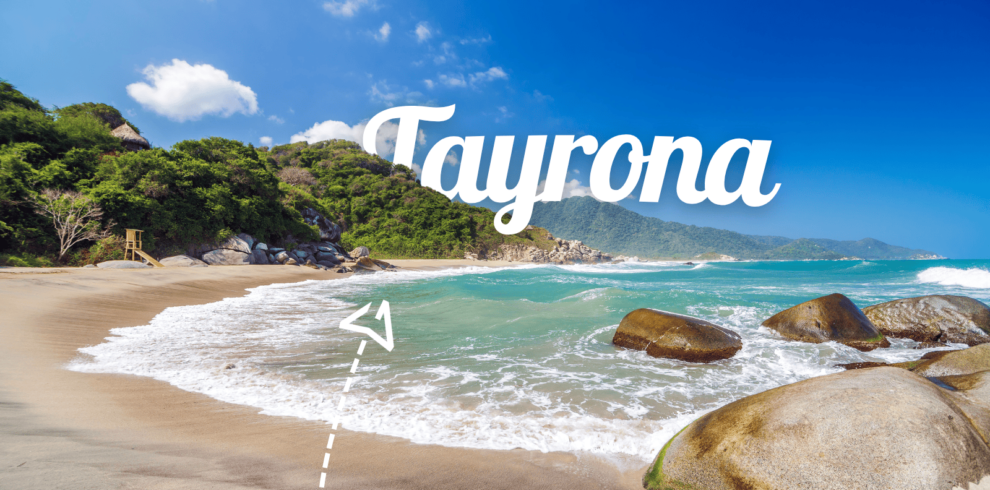 Actiiva horizontal (32) (1)