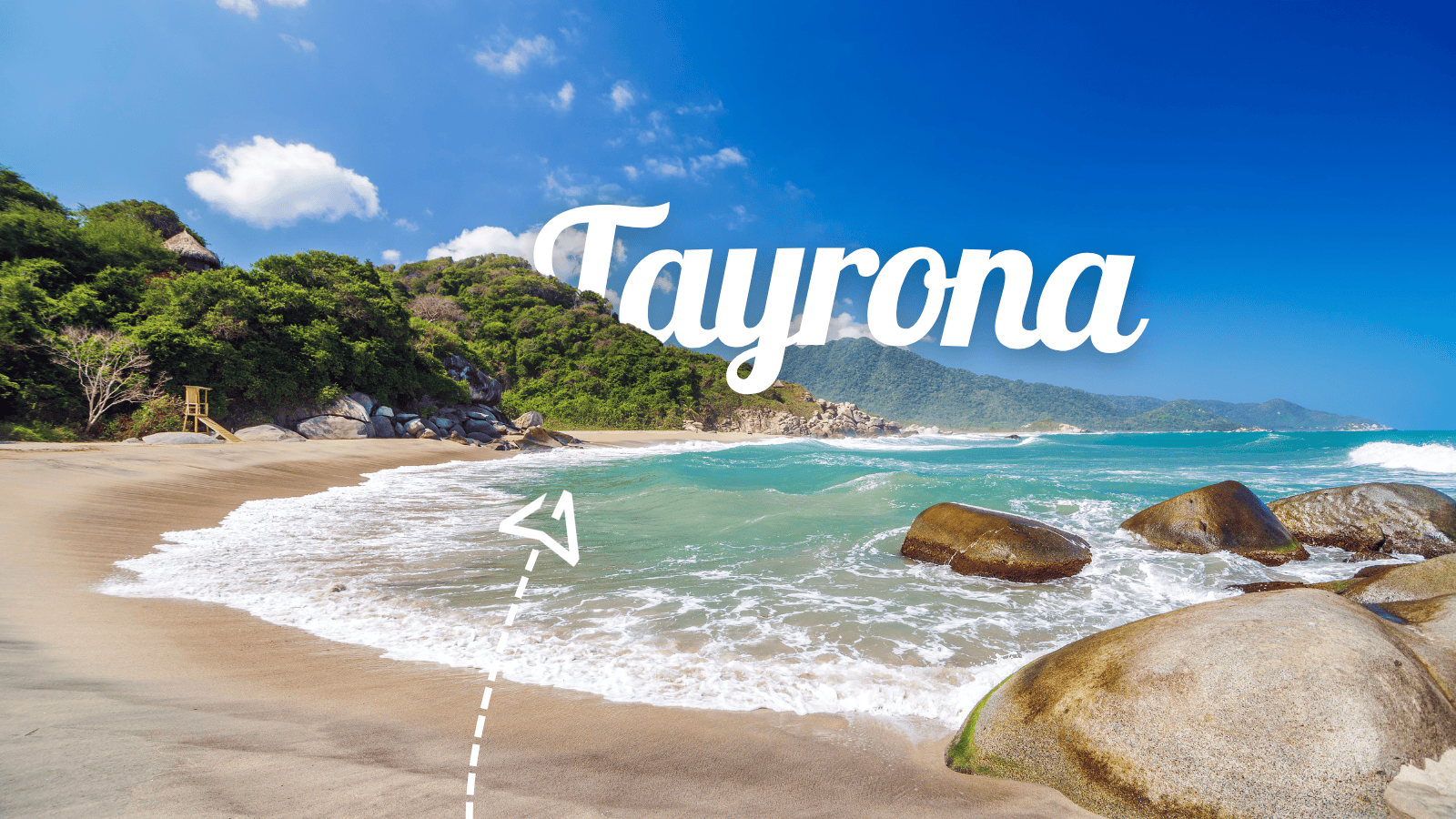 Actiiva horizontal (32) (1)