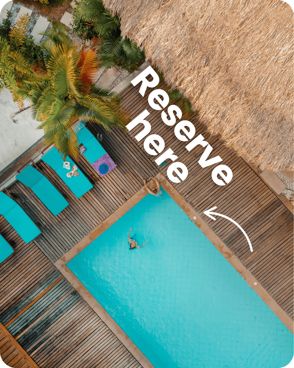 Publicidad Actiiva (56) (1)