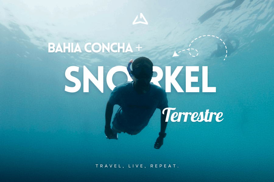 Bahia Concha + Snorkel