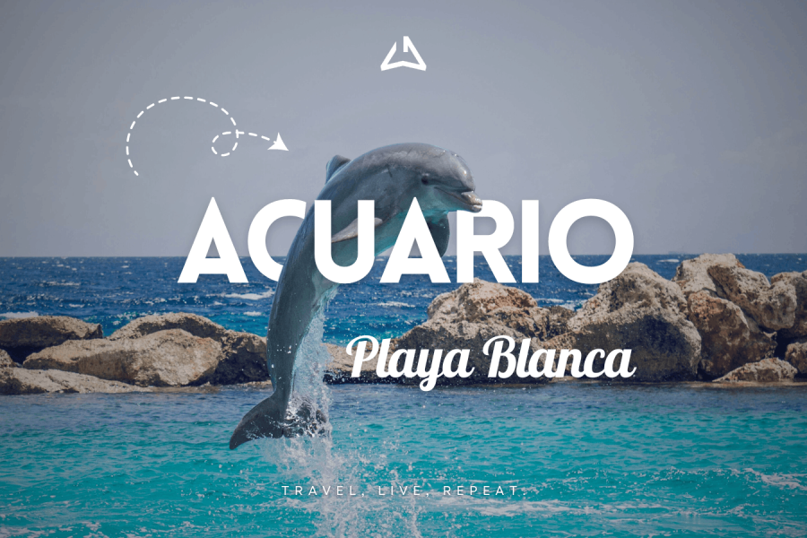 Playa Blanca + Acuario